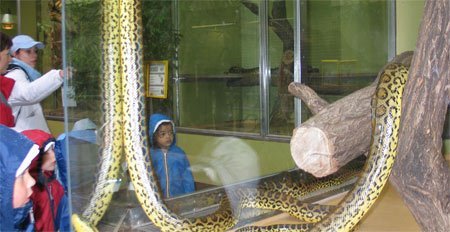 Les enfants ont pu approcher de très nombreux animaux au zoo de Sarrebruck
